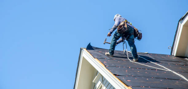Professional Roofing Contractor in Rayne, LA